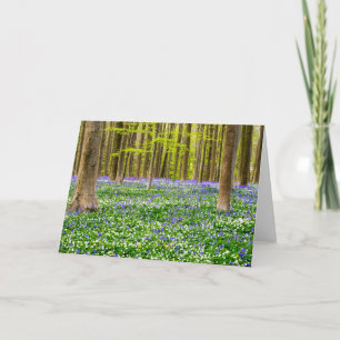 Tarjeta Primavera en el Bosque Azul