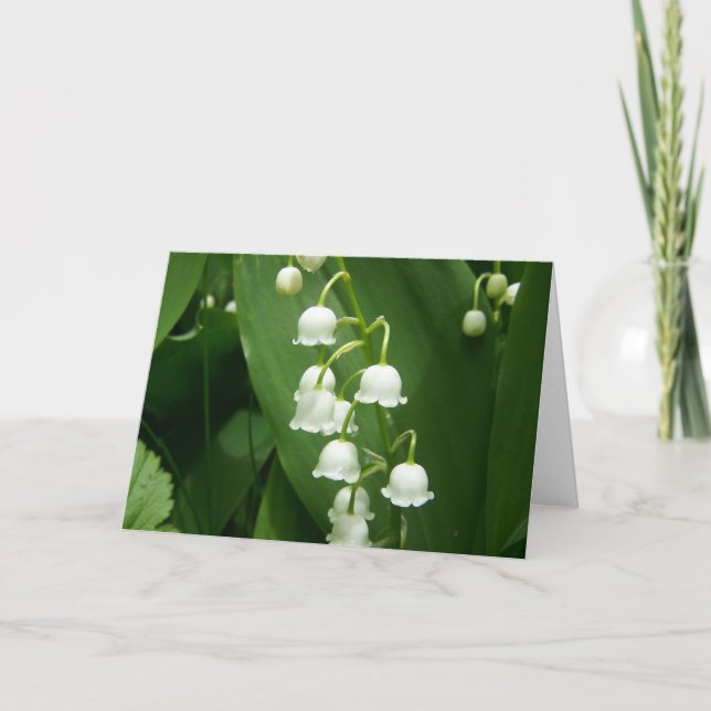 Tarjeta Primavera En Maine (Anverso)