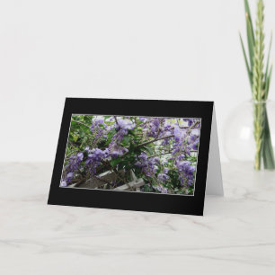 Tarjeta "Primavera salvaje "