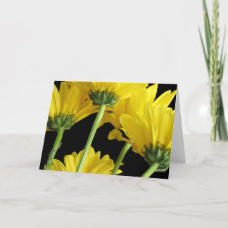 Tarjeta Primer de las margaritas