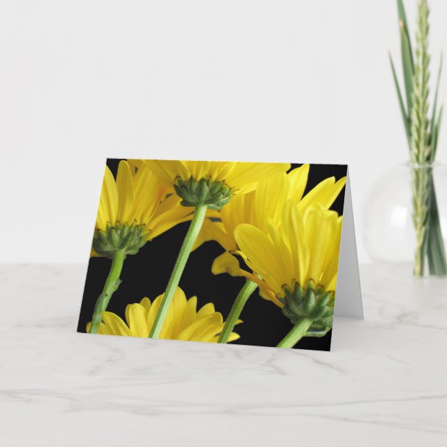 Tarjeta Primer de las margaritas (Anverso)