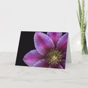 Tarjeta Primer del Clematis de Fuscia