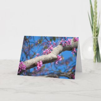 Tarjeta Primer día de primavera