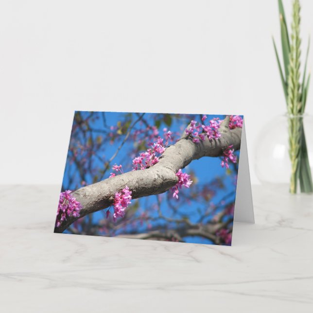 Tarjeta Primer día de primavera (Anverso)