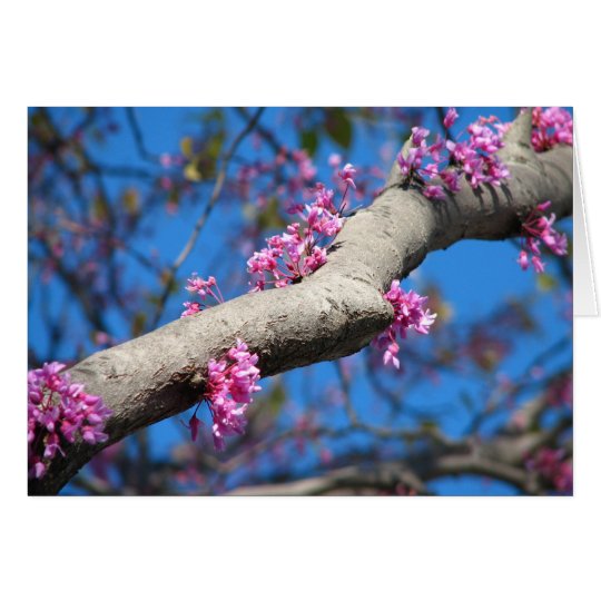 Tarjeta Primer día de primavera