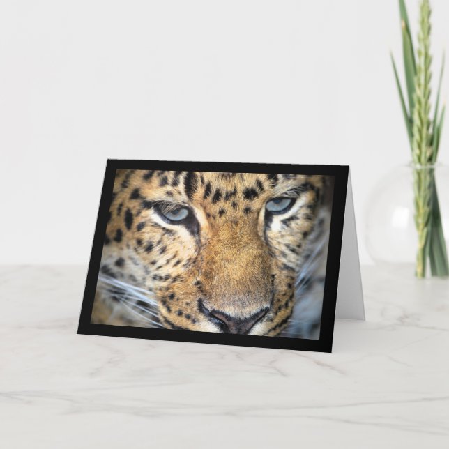 Tarjeta Primer plano de leopardo (Anverso)