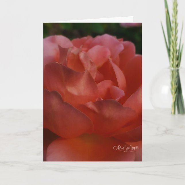 Tarjeta Primer Plano Floral (Anverso)
