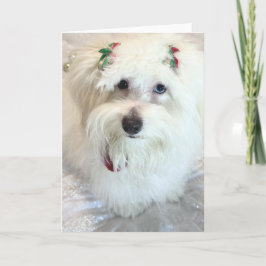 Tarjeta Primera Navidad