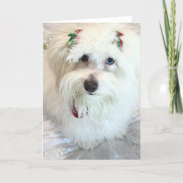 Tarjeta Primera Navidad