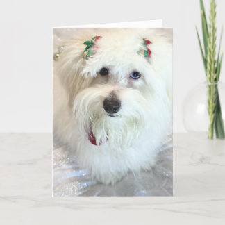 Tarjeta Primera Navidad