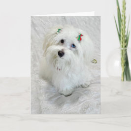 Tarjeta Primera Navidad