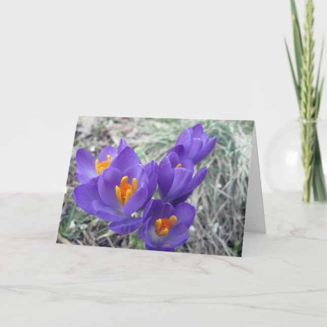 Tarjeta Primeras floraciones de la primavera (Anverso)