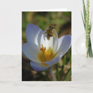 Tarjeta Primeros Rótulos de la primavera