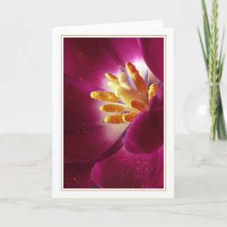 Tarjeta Primo de vida