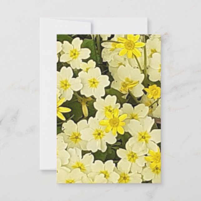 Tarjeta Primrosis de primavera (Anverso)