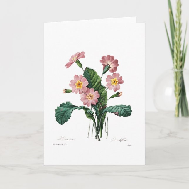 Tarjeta Primula (Anverso)