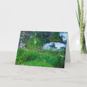 Tarjeta Príncipe de la Selva