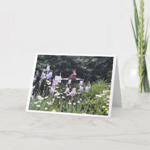 Tarjeta Príncipe Rana Romántico y Flores en Blanco