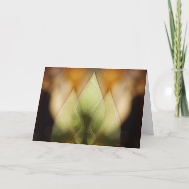 Tarjeta Principios (Anverso)