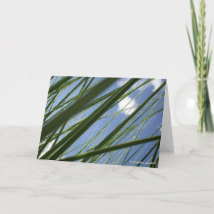Tarjeta Prisma de la hierba - Notecard