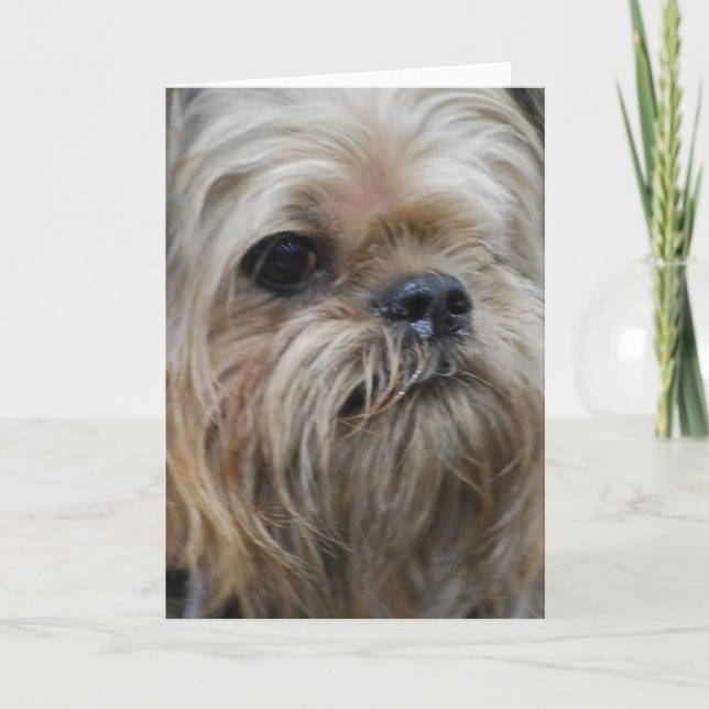 Tarjeta Producto del personalizar (Anverso)