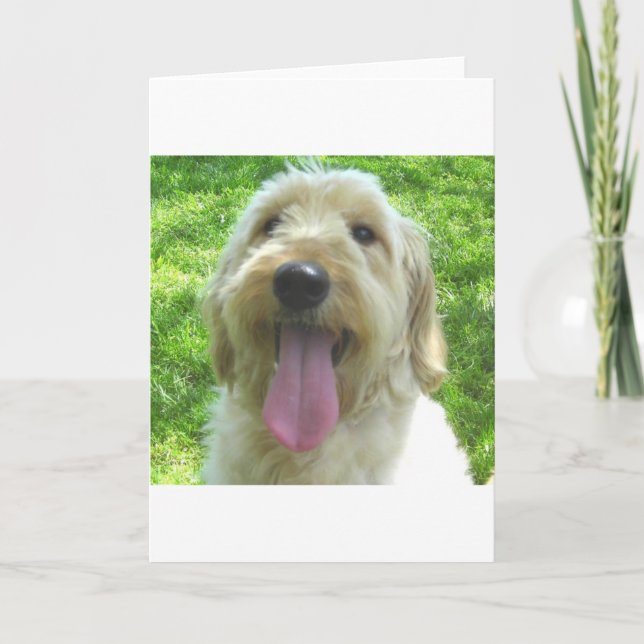 Tarjeta Productos de Goldendoodle (Anverso)