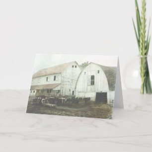 Tarjeta Productos lácteos de Amish