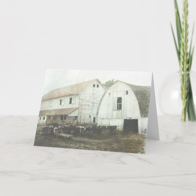 Tarjeta Productos lácteos de Amish (Anverso)