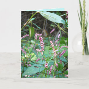 Tarjeta Profusión de tintas