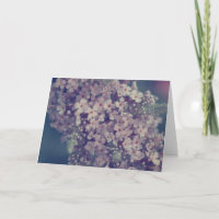 Promesa 2 | Fotografía de Flor de Lila en Blanco