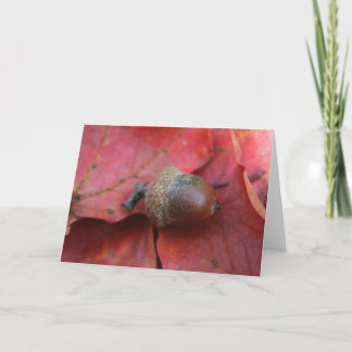 TARJETA PROMESA AUTUMNS