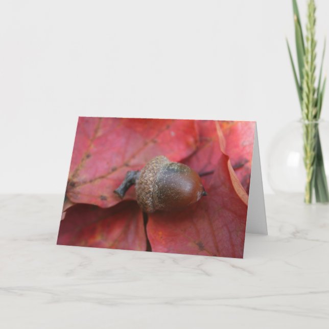 TARJETA PROMESA AUTUMNS (Anverso)