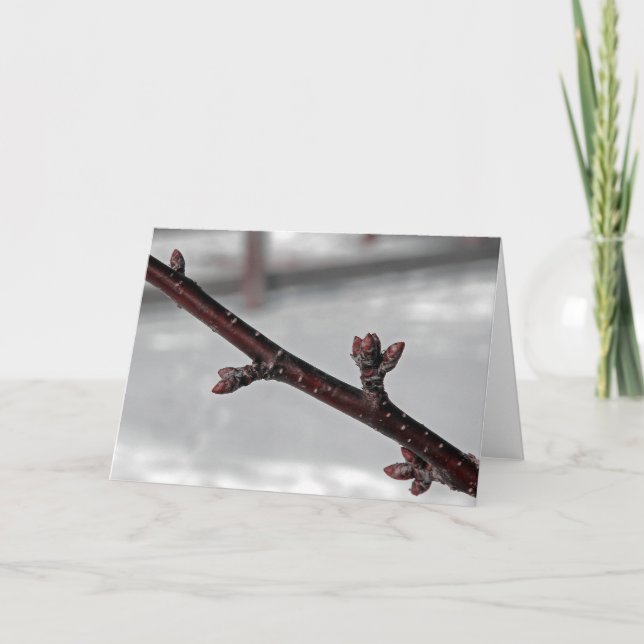 Tarjeta Promesa de primavera (Anverso)