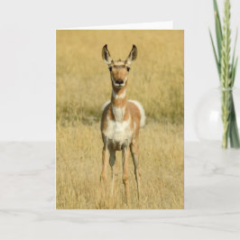 Tarjeta Pronghorn Notecard