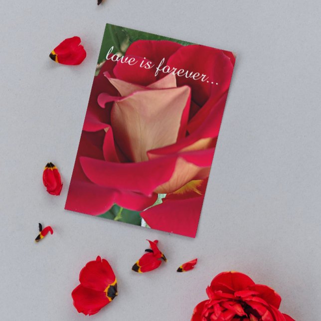 Tarjeta Propuesta de matrimonio personalizado de rosa rojo (In Situ)