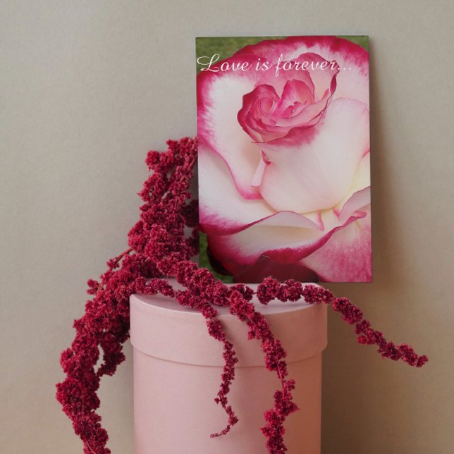 Tarjeta Propuesta de matrimonio personalizado rosa y rosa  (In Situ)