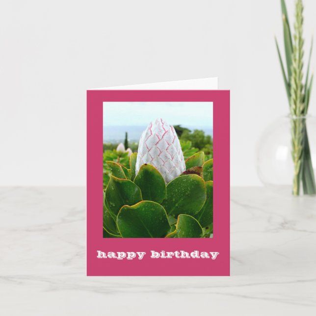 TARJETA "PROTEA: FELIZ CUMPLEAÑOS" (Anverso)