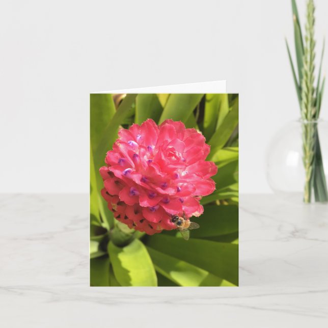 Tarjeta protector primaveral #3 (en blanco dentro) (Anverso)