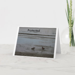 Tarjeta Protegido