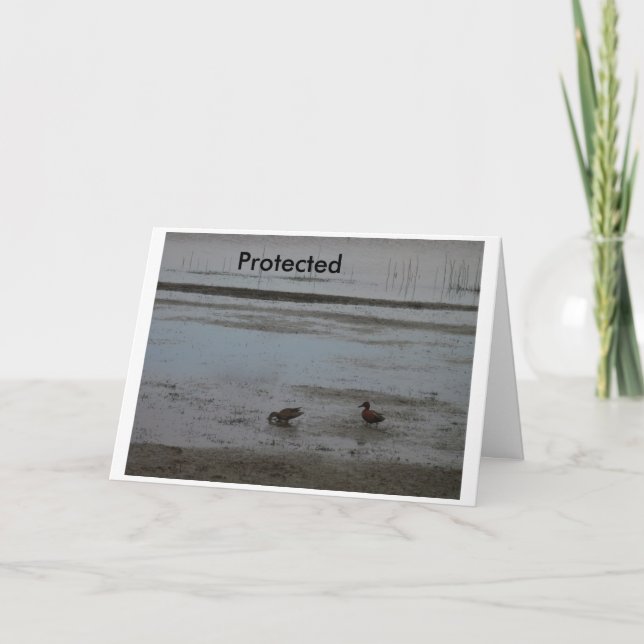 Tarjeta Protegido (Anverso)