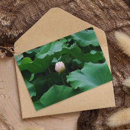 Tarjeta Próximamente floreciendo