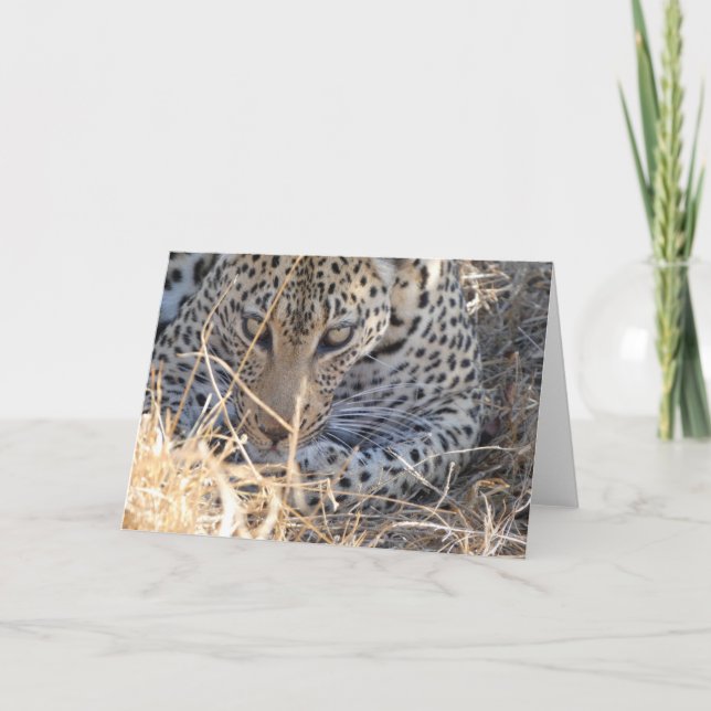 TARJETA PRÓXIMO ROSTRO DE LEOPARDO (Anverso)