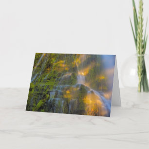 Tarjeta Proxy cae tres hermanas Oregón