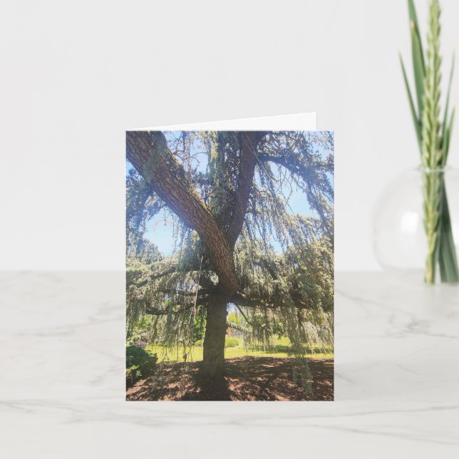 Tarjeta Psalm 1:1-3 Blank Card (Anverso)