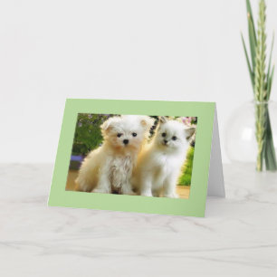 TARJETA PUBLICAR SOLO* PARA TU CUMPLEAÑOS