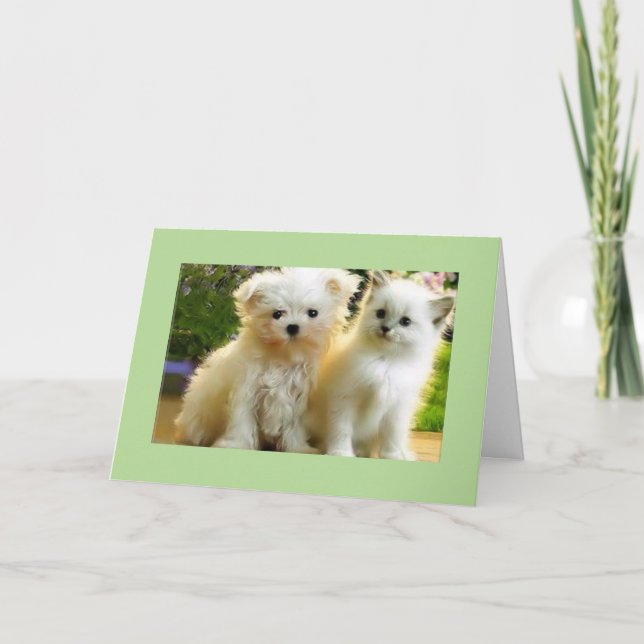 TARJETA PUBLICAR SOLO* PARA TU CUMPLEAÑOS (Anverso)