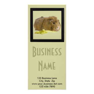 Tarjeta Publicitaria Adorable Ginger Guinea Pig Photo Pet Care Business