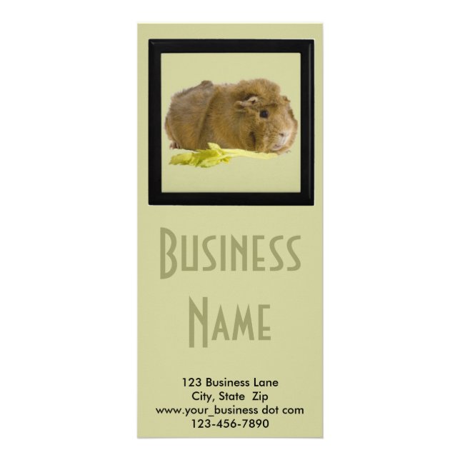 Tarjeta Publicitaria Adorable Ginger Guinea Pig Photo Pet Care Business (Frente)