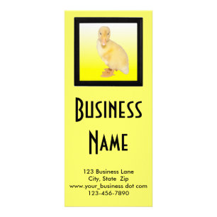 Tarjeta Publicitaria Adorable Yellow Duckling Photo Animal Care Persona