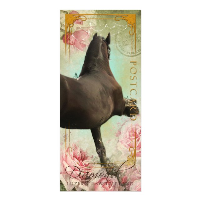 Tarjeta Publicitaria DIAMANTE - Rackcard 3/postal (Frente)